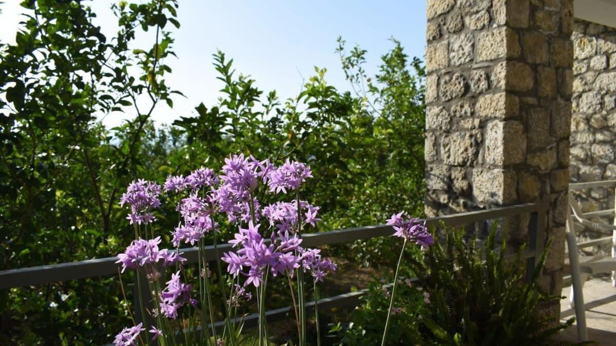 Coastal Stone Hideaway With Stunning Scenery Villa Kitriai Luaran gambar